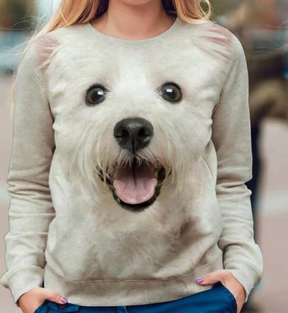 Animal Print Casual Long-Sleeved T-Shirt in 6 Colors