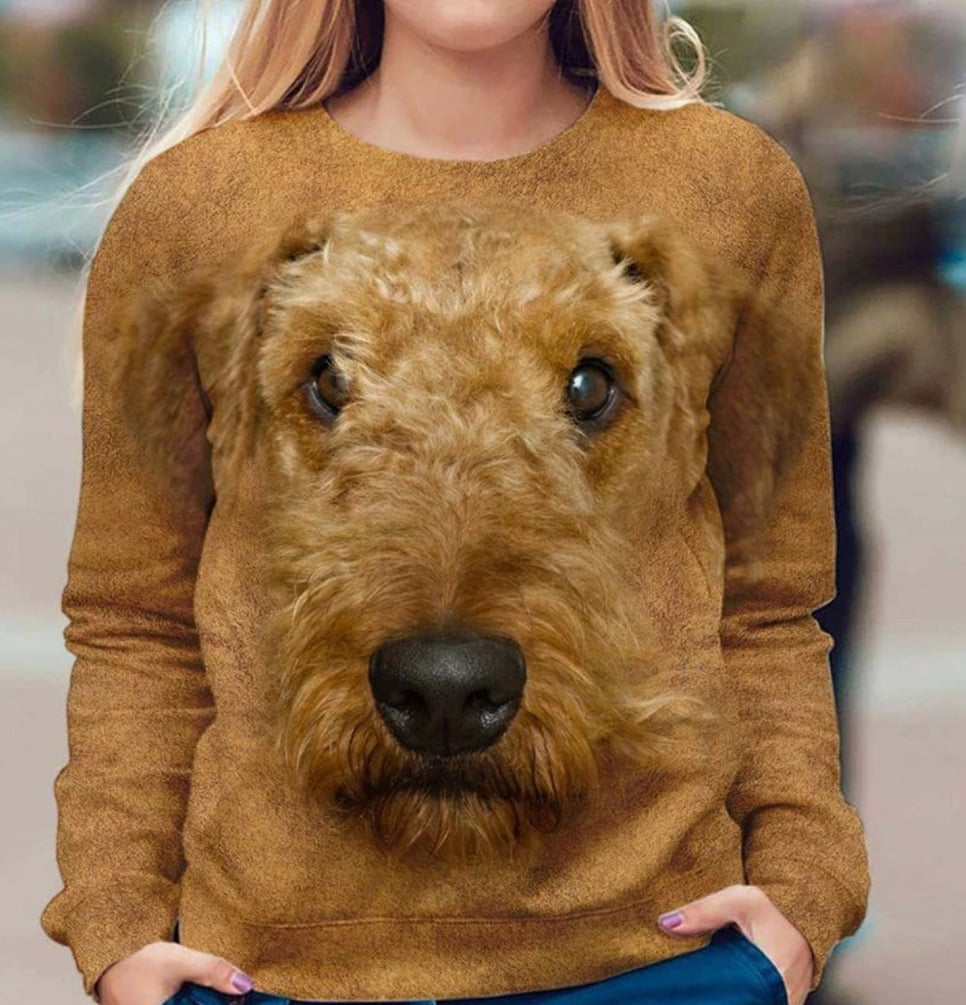 Animal Print Casual Long-Sleeved T-Shirt in 6 Colors